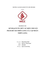 BÁO cáo kế HOẠCH tổ CHỨC sự KIỆN CHO sản PHẨM bút BI THIÊN LONG của tập đoàn THIÊN LONG 