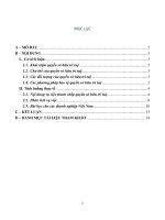 Phân tích một vụ tranh chấp quyền sở hữu trí tuệ và bài học rút ra cho các doanh nghiệp việt nam