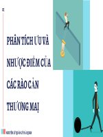 (TIỂU LUẬN) slide thuyết trình phân tích ưu và nhược điểm của rào cản thương mại 