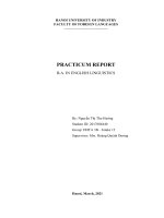 (TIỂU LUẬN) PRACTICUM REPORT b a  IN ENGLISH LINGUISTICS 