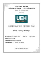 (TIỂU LUẬN) TIỂU LUẬN kết THÚC học PHẦN đề tài xây dựng chiến lược 