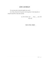 (Luận văn thạc sĩ) Nghiên cứu thiết kế, tính toán kết cấu và hợp lý hóa các thông số thiết kế cho cầu trục 20 5 tấn, khẩu độ 30 mét tại Xí nghiệp Cơ điện LD Việt Nga Vietsovpetro