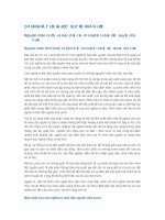 chủ nghĩa tư bản độc quyền nhà nước