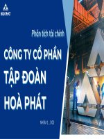 (TIỂU LUẬN) tiểu luận phân tích tài chính công ty cổ phần tập đoàn hòa phát 