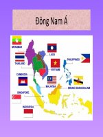 (TIỂU LUẬN) TIỂU LUẬN đông nam á đặc điểm tự nhiên tình hình phát triển kinh tế, xã hội đông nam á – đất liền và hải đảo  sự giống và khác nhau của 11 nước đông nam á 