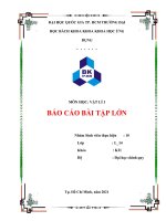 (TIỂU LUẬN) môn học vật lí 1 báo cáo bài tập lớn vẽ QUỸ đạo CHUYỂN ĐỘNG ném XIÊN TRONG TRỌNG TRƯỜNG bỏ QUA lực cản và xác ĐỊNH một vài THÔNG số LIÊN QUAN 