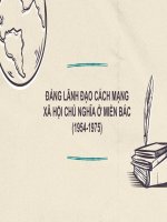 ĐẢNG LÃNH đạo CÁCH MẠNG xã hội CHỦ NGHĨA ở MIỀN bác (1954 1975) 