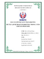 MÔN học QUẢN TRỊ MARKETING đề tài lập kế HOẠCH MARKETING TRONG 1 năm CHO sản PHẨM mới 