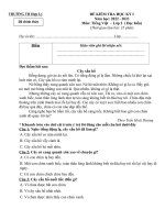 ĐỀ GIỮA HKI TV 2  HẰNG ( 22 23) 