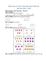 de thi hoc ki 1 lop 1 mon toan sach chan troi de so 6 