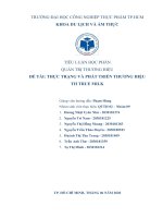 (TIỂU LUẬN) TIỂU LUẬN học PHẦN QUẢN TRỊ THƯƠNG HIỆU đề tài THỰC TRẠNG và PHÁT TRIỂN THƯƠNG HIỆU TH TRUE MILK 