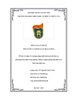 (TIỂU LUẬN) lý luận về vi phạm pháp luật hình sự từ đó đưa ra giải pháp hữu hiệu trong phòng, chống vi phạm pháp luật hình sự ở việt nam hiện nay  