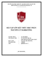 (TIỂU LUẬN) NGUYÊN lý MARKETING  lựa chọn 1 sản phẩmdịch vụ cụ thể của doanh nghiệp hoạt động kinh doanh trong thực tiễn  hãy phân tích kế hoạch 4p của sản phẩmdịch vụ đó  