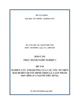 (TIỂU LUẬN) NGHIÊN cứu ẢNH HƯỞNG của các yếu tố TRÊN BAO bì đến QUYẾT ĐỊNH CHỌN lựa sản PHẨM SON môi của NGƯỜI TIÊU DÙNG 
