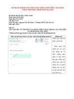 Kế hoạch bài giảng thi giáo viên giỏi tỉnh, dạy học theo phương pháp đảo ngược