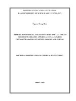 (LUẬN án TIẾN sĩ) nghiên cứu tổng hợp tio2 AC, tio2 GO và đưa lên gốm cordierite làm xúc tác cho quá trình quang phân hủy metyl da cam và phenol 