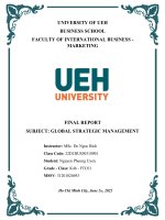 (TIỂU LUẬN) FINAL REPORT SUBJECT GLOBAL STRATEGIC MANAGEMENT critically present your understading about global positioning 