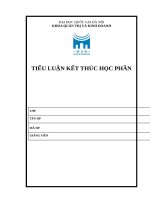 (TIỂU LUẬN) dựa vào kiến thức môn tư tưởng hồ chí minh hãy cho biết nhận định sau là sai hay đúng, vì sao thời kỳ từ cuối năm 1920 đến năm 1930 là thời kỳ tư tưởng 