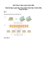 Toán 3 ôn tập về phép chia, bảng nhân 2, bảng chia 5giải toán lớp 3 trang 36, 37 sách cánh diều   tập 1 