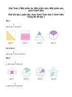 Toán 3 một phần ba  một phần năm  một phần sáugiải toán lớp 3 trang 59, 60 sách cánh diều   tập 1 