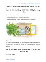 Soạn bài chú sẻ và bông hoa bằng lăng trang 104tiếng việt lớp 3 chân trời sáng tạo tập 1   tuần 14 