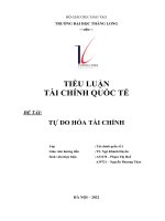 TIỂU LUẬN tài CHÍNH QUỐC tế đề tài tự DO hóa tài CHÍNH 