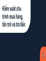 (TIỂU LUẬN) kiểm soát chu trình mua hàng, tồn trữ và trả tiền 