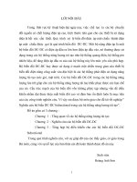 Thiết kế bộ biến đổi các nguồn năng lượng mới 