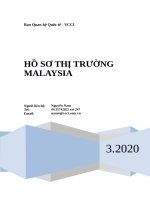 (TIỂU LUẬN) hồ sơ THỊ TRƯỜNG MALAYSIA 