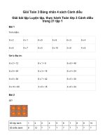 Toán 3 bảng nhân 6giải toán lớp 3 trang 20, 21 sách cánh diều   tập 1 