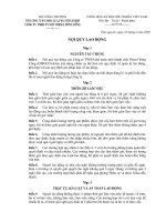 Noi quy lao dong 2008 