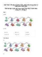 Toán 3 ôn tập về phép nhân, phép chia trong phạm vi 1000giải toán lớp 3 trang 117, 118 sách cánh diều   tập 1 