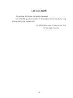 (Luận văn thạc sĩ) Điều hướng xe tự hành dùng trí tuệ nhân tạo