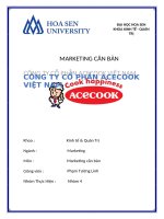(TIỂU LUẬN) MARKETING căn bản CÔNG TY cổ PHẦN ACECOOK VIỆT NAM 