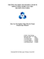 Báo cáo thí nghiệm nhập môn kỹ thuật chuyên mục polymer 