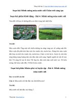 Soạn bài mênh mông mùa nước nổi trang 102tiếng việt lớp 3 chân trời sáng tạo tập 2   tuần 31 