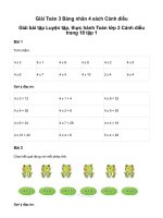 Toán 3 bảng nhân 4giải toán lớp 3 trang 18, 19 sách cánh diều   tập 1 