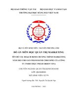 (TIỂU LUẬN) hoạch định chương trình marketing năm 2022 cho sản phẩm bánh chocopie của công ty tnhh thực phẩm orion vina 