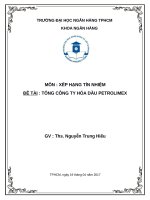 (TIỂU LUẬN) môn  xếp HẠNG tín NHIỆM đề tài  TỔNG CÔNG TY hóa dầu PETROLIMEX 