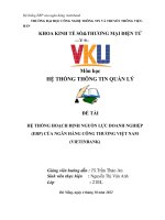(TIỂU LUẬN) hệ THỐNG HOẠCH ĐỊNH NGUỒN lực DOANH NGHIỆP (ERP) của NGÂN HÀNG CÔNG THƯƠNG VIỆT NAM (VIETINBANK) 