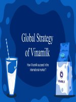(TIỂU LUẬN) global strategy of vinamilk how vinamilk succeed in the international market 