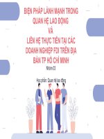 BÀI THUYẾT TRÌNH BIỆN PHÁP LÀNH MẠNH HÓA QUAN HỆ LAO ĐỘNG VÀ LIÊN HỆ THỰC TIỄN TẠI CÁC DOANH NGHIỆP FDI TRÊN ĐỊA BÀN TP HỒ CHÍ MINH