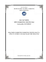 (TIỂU LUẬN) HOẠT ĐỘNG MARKETING MARKETING THƯƠNG mại của CÔNG TY cổ PHẦN VÀNG bạc đá QUÝ PHÚ NHUẬN PNJ 