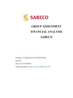 (TIỂU LUẬN) GROUP ASSIGNMENT FINANCIAL ANALYSIS SABECO 
