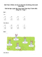 Toán 3 nhân với số có một chữ số (không nhớ)giải toán lớp 3 trang 70, 71 sách cánh diều   tập 1 