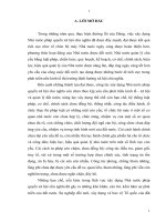 Tiẻu luận lóp lý luận chính trị, nhà nước pháp quyền xã hội chủ nghĩa việt nam  những vấn đề lý luận và thực tiễn 