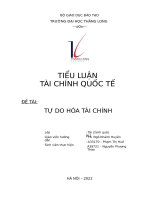 TIỂU LUẬN tài CHÍNH QUỐC tế đề tài tự DO hóa tài CHÍNH 