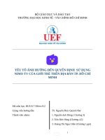 nghiên cứu Sử dụng Nimo TV cụa giới trẻ trên địa bàn TP.HCM