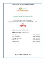 (TIỂU LUẬN) NHẬP môn MARKETING và bán HÀNG PHÂN TÍCH CHIẾN lược MARKETING tại DOANH NGHIỆP nước KHOÁNG THIÊN NHIÊN LAVIE 