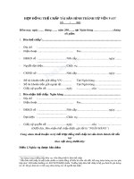 Mẫu hợp đồng thế chấp tài sản hình thành từ vốn vay 